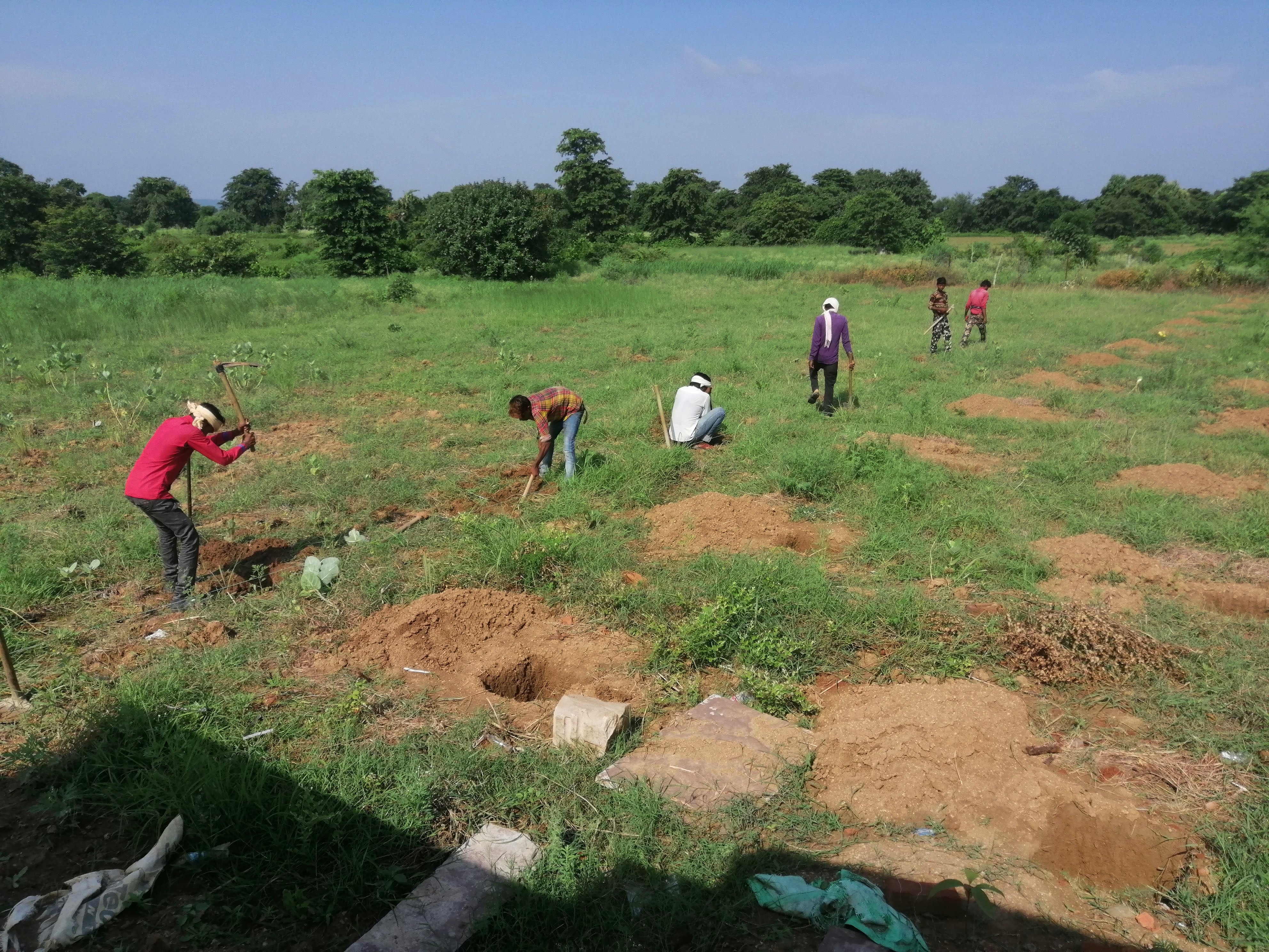 Sandalwood Plantation Drive