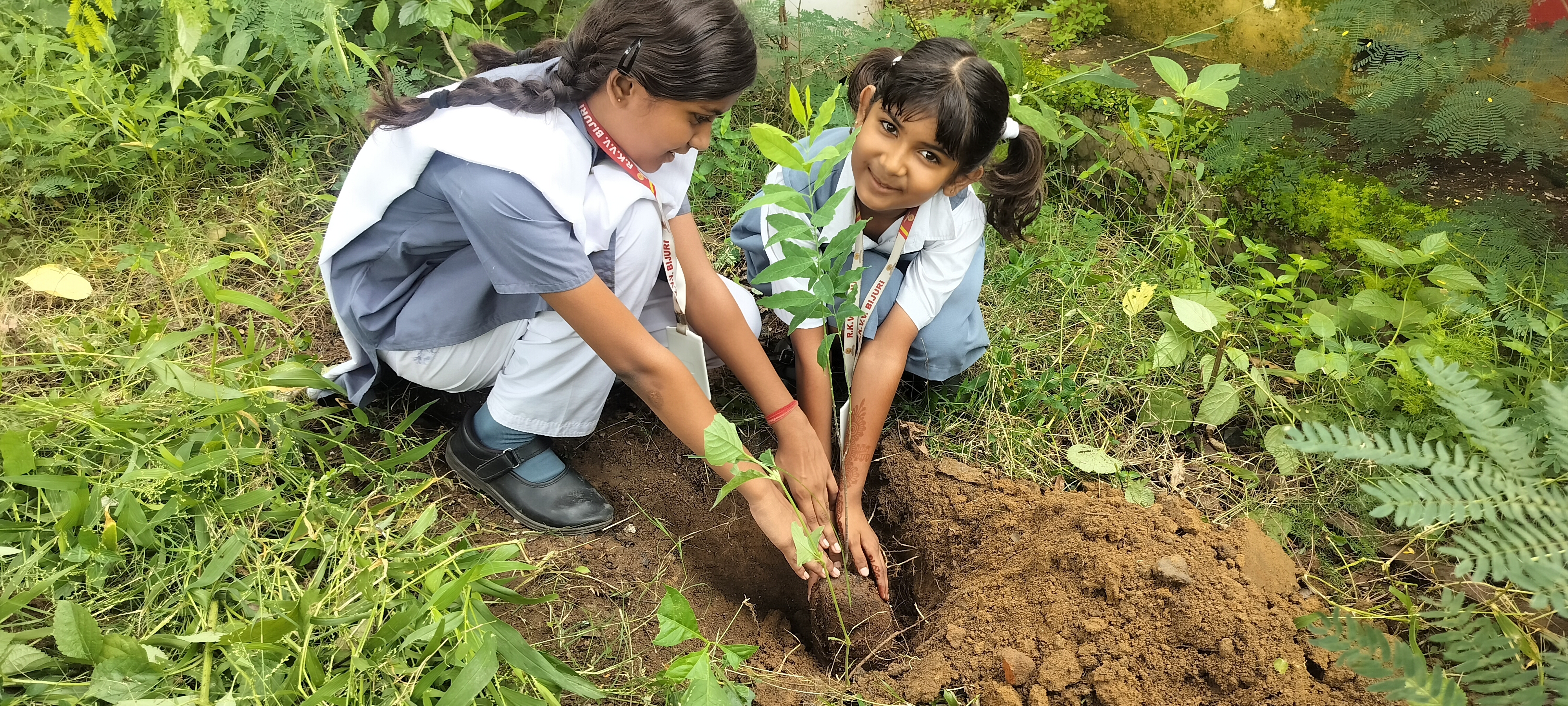 School Plantation
